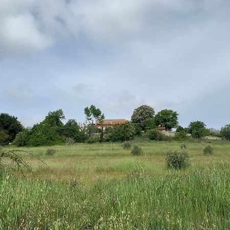 Domaine Le Commandaire Roumoules Екстер'єр фото
