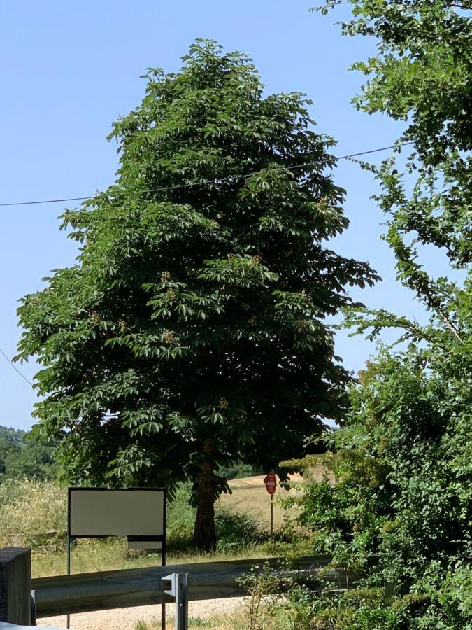 Domaine Le Commandaire Roumoules Екстер'єр фото