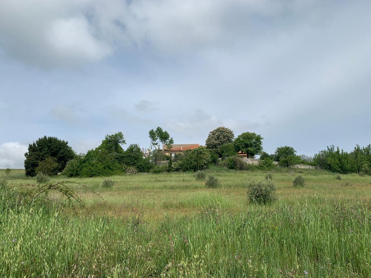 Domaine Le Commandaire Roumoules Екстер'єр фото